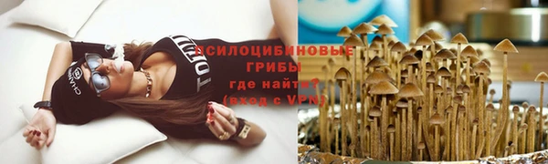 гидропоника Абаза