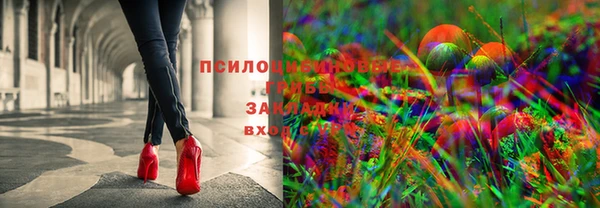 гидропоника Абаза